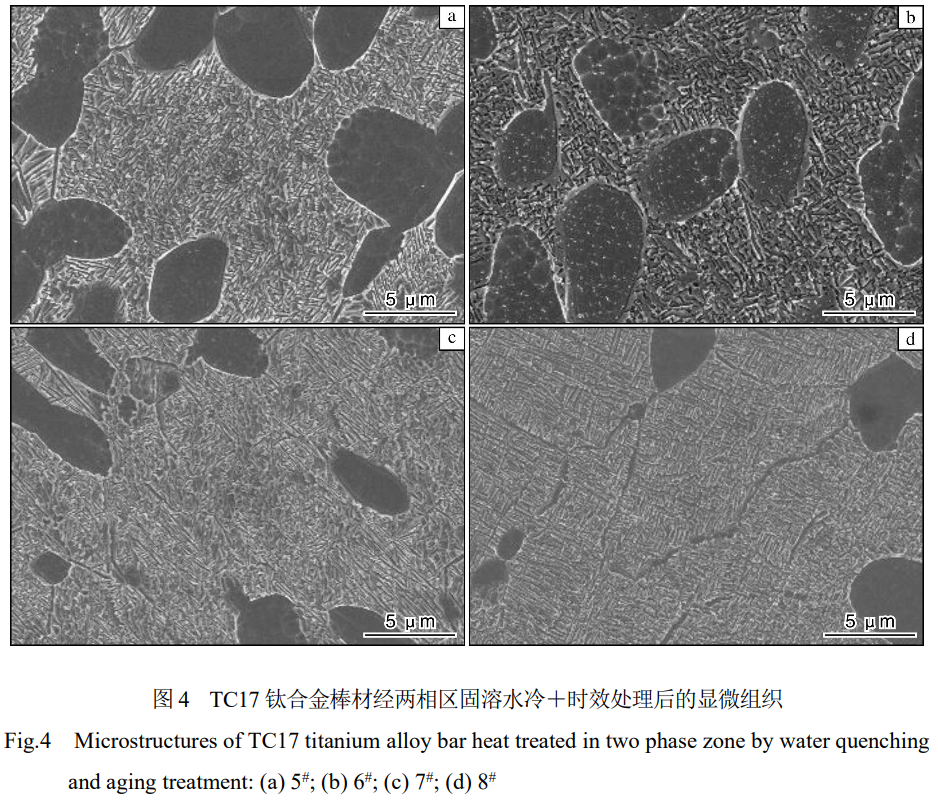 熱處理工藝對大規(guī)格TC17鈦合金棒材組織與力學性能的影響 熱處理工藝對大規(guī)格TC17鈦合金棒材組織與力學性能的影響