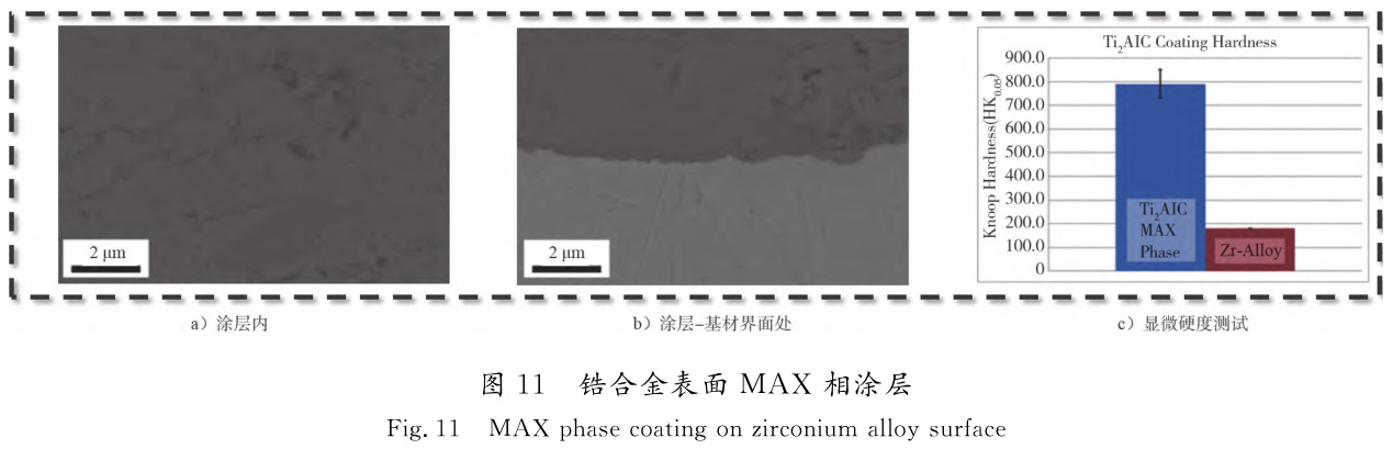 1729065306416535.jpg t11.jpg