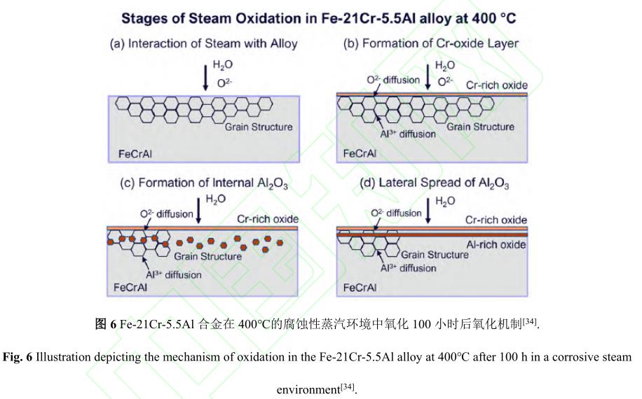 1729135217385354.jpg 6.jpg