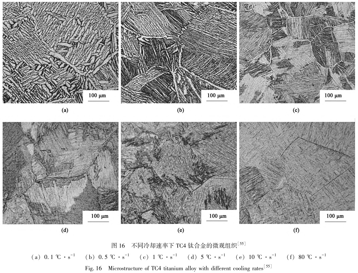 1729324449793826.jpg t16.jpg