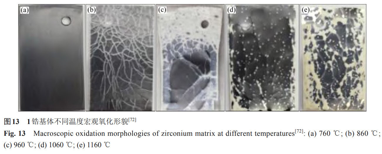 1734081909564839.jpg 13.jpg