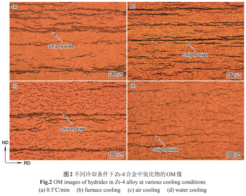 1734144449972583.jpg 2.jpg